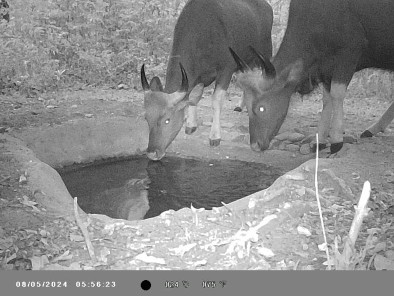 conservation-hotspots